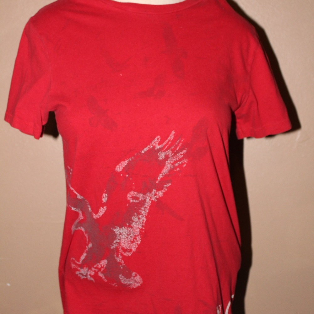 American Eagle "Distressed Eagle" Shirt